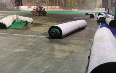 Tenemos césped nuevo