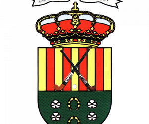 Convocatoria de elecciones a la presidencia.